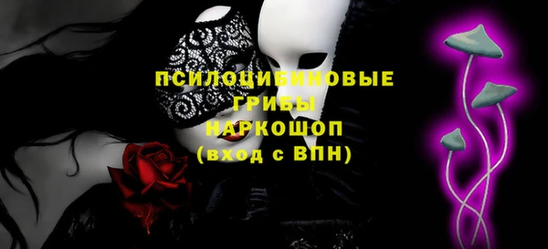 прущие грибы Алзамай