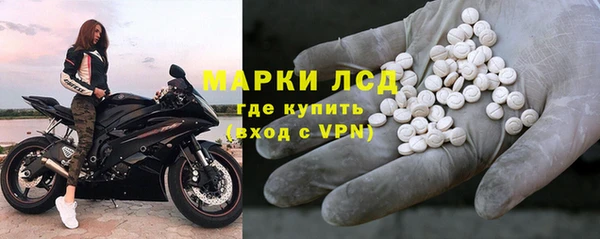 прущие грибы Алзамай